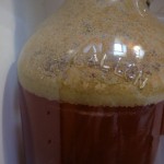 P1030416