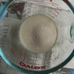 Rehydrating Yeast