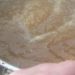 The Boil