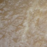 The Boil