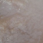The Boil