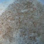 Mash Close-up